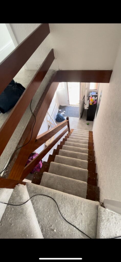 Snowfall grazing and carpet ltd photos 39
